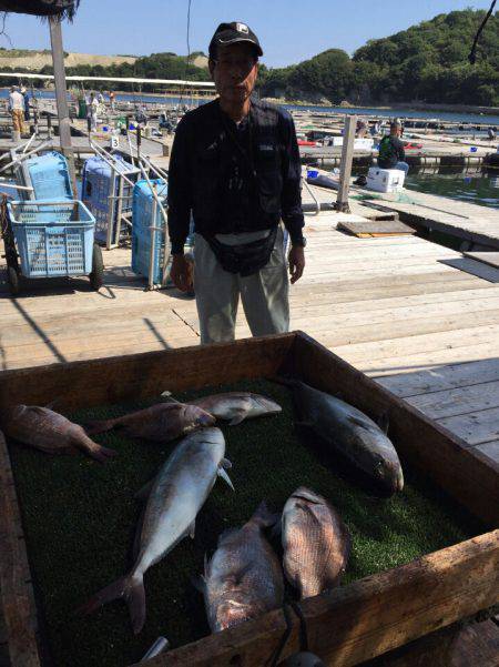 海の釣堀 海恵 釣果