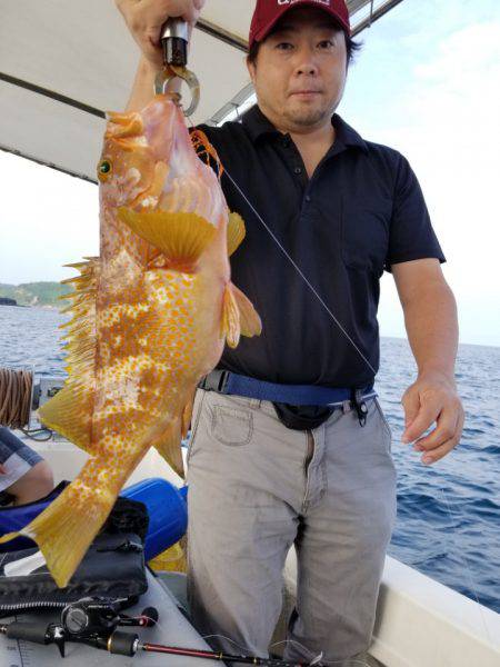 ソルトウォーターガイドフレンズ 釣果