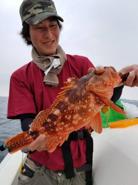 ソルトウォーターガイドフレンズ 釣果