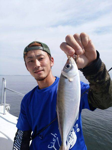 bay style 釣果