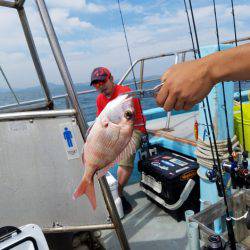 みやけ丸 釣果