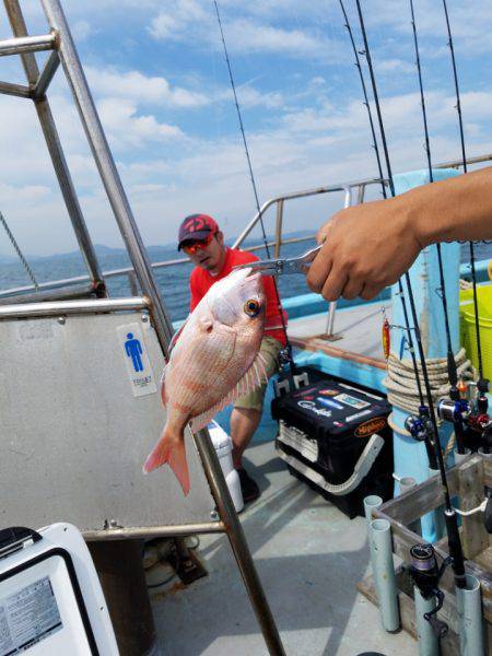 みやけ丸 釣果