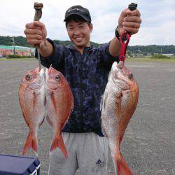 だて丸 釣果