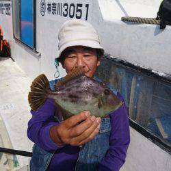 島きち丸 釣果