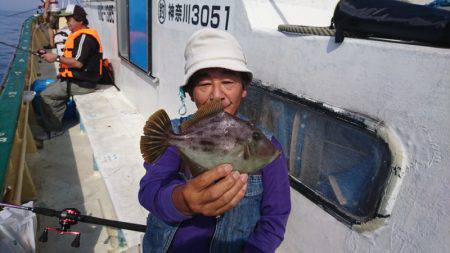 島きち丸 釣果