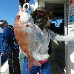 きずなまりん 釣果