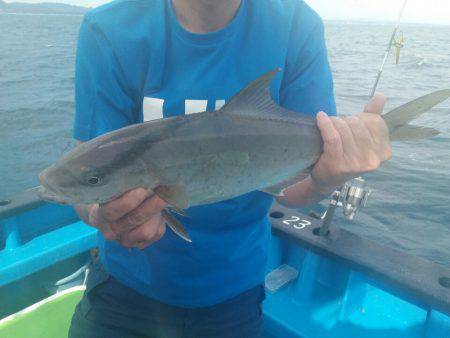 丸万釣船 釣果