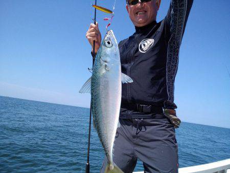 ひな丸 釣果