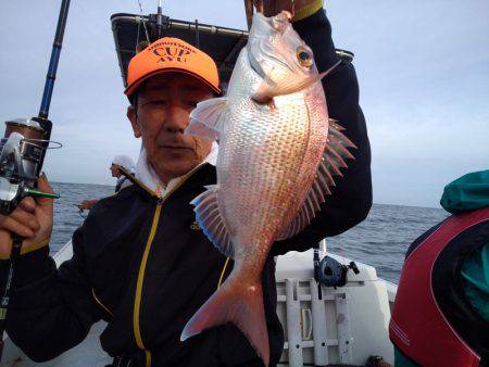 ひな丸 釣果