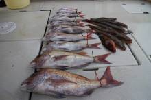 KIM Fishing Guide Service 釣果