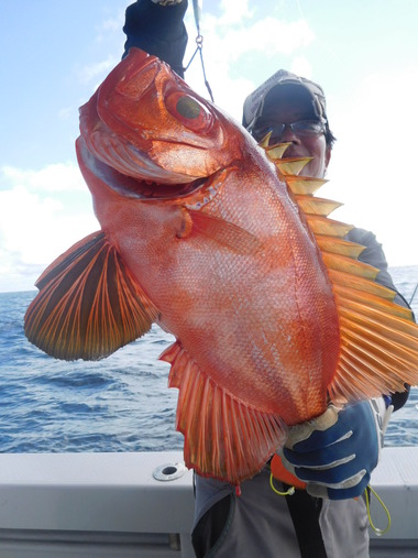 随功丸 釣果