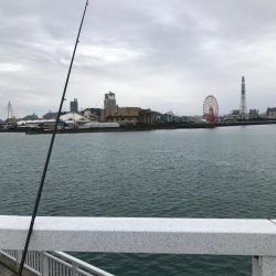 小雨の中の釣行