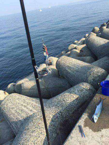 久しぶりの釣り