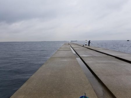初渡船～太刀魚に青物調査