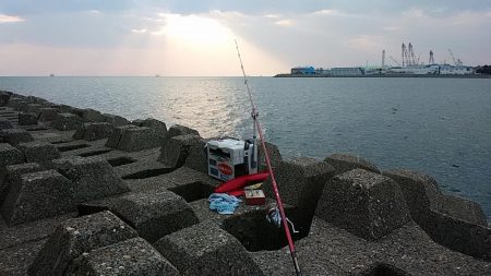 二見人工島へ落ちギス調査④