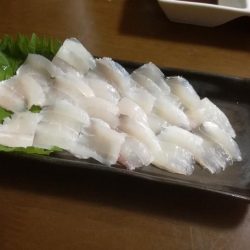 短時間釣行