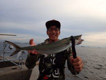 たまや渡船で太刀魚狙いの沖堤防！