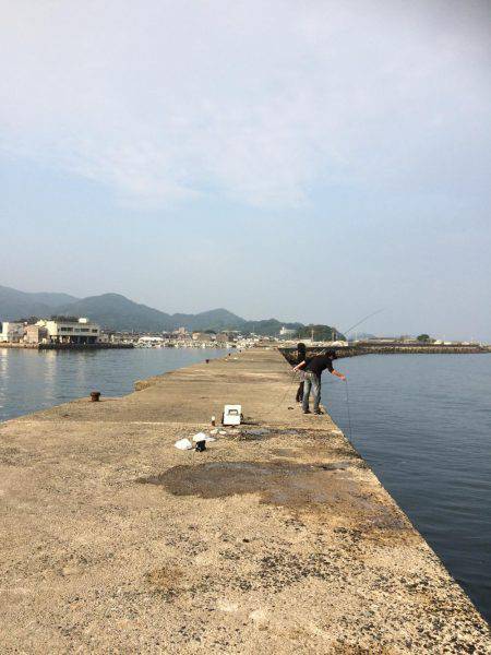 福吉漁港で朝からジギング