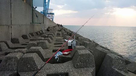 二見人工島へ落ちギス調査④