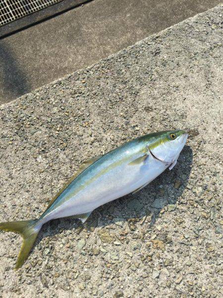 久しぶりの釣り