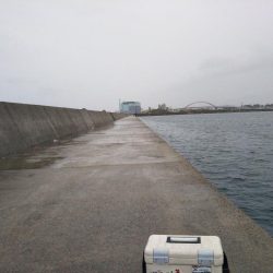 雨の降る中タチウオ狙い。