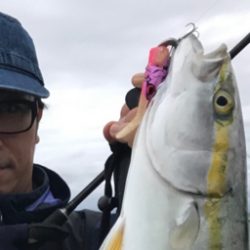 台風前に…まさかの青物