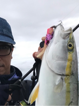 台風前に…まさかの青物