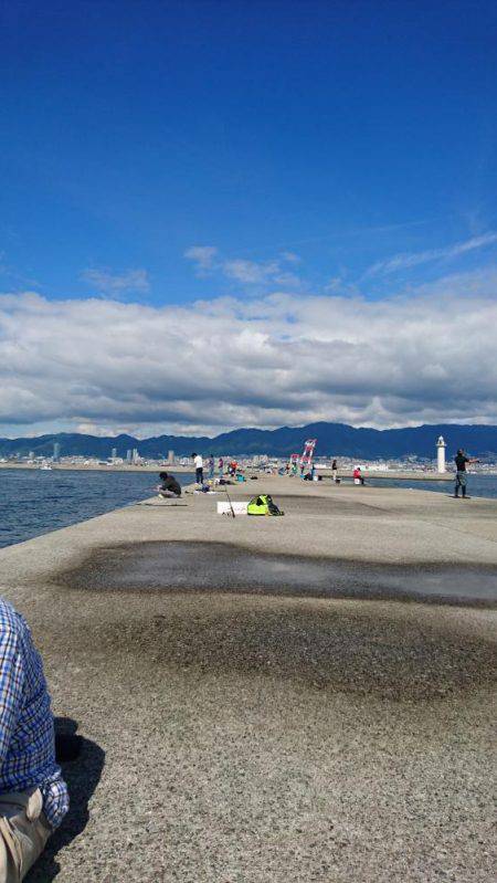 昼間の太刀魚、おまけにサゴシ 、8防!松村渡船