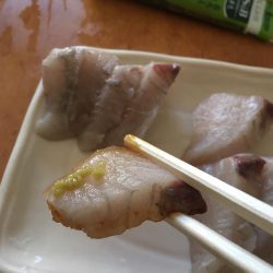 ハマチ狙い釣行。