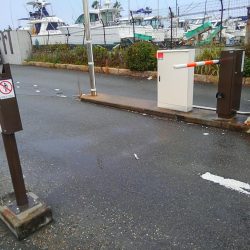 雨の中のタチウオ釣行