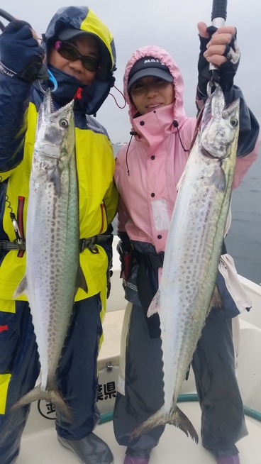 めだか屋 釣果