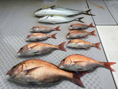 ミタチ丸 釣果