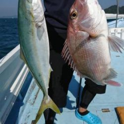 龍幸丸 釣果