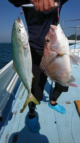 龍幸丸 釣果