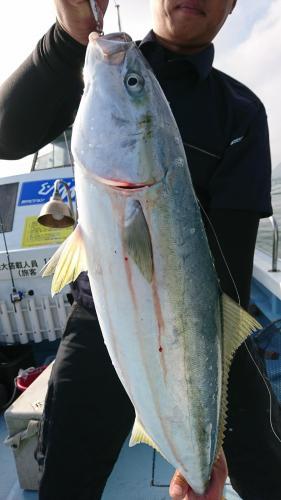 龍幸丸 釣果