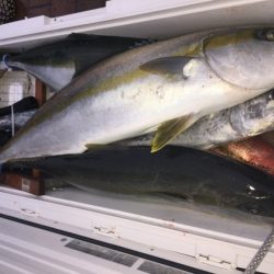 幸風（さちかぜ） 釣果