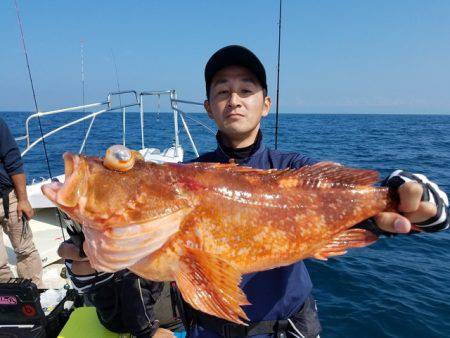 遊漁船　ニライカナイ 釣果