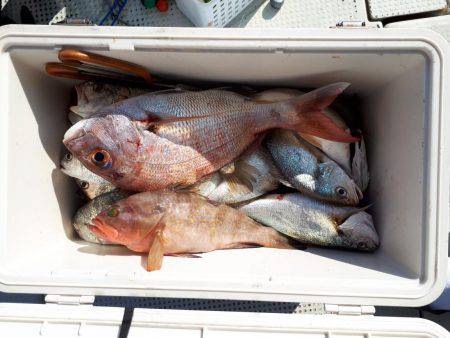 釣り船くわだ 釣果