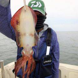 鯛紅丸 釣果