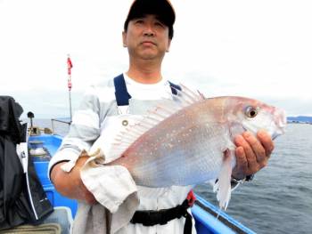 鯛紅丸 釣果