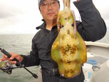 鯛紅丸 釣果