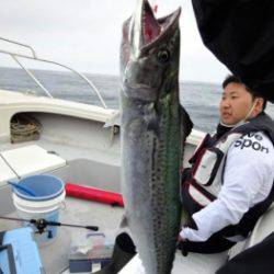 鯛紅丸 釣果