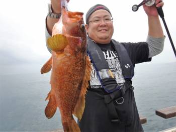 鯛紅丸 釣果