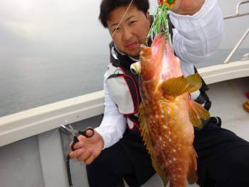 鯛紅丸 釣果