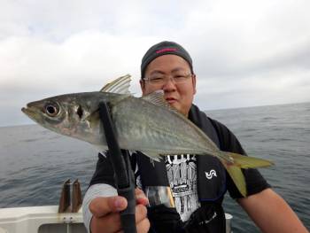 鯛紅丸 釣果