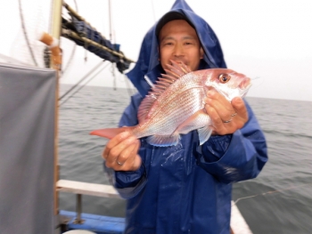 鯛紅丸 釣果