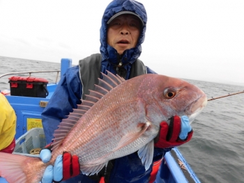 鯛紅丸 釣果