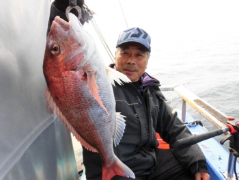 鯛紅丸 釣果