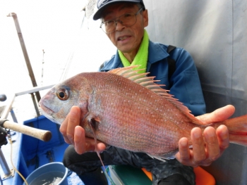 鯛紅丸 釣果