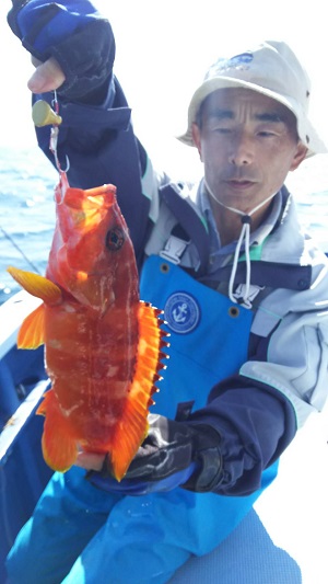 松栄丸 釣果